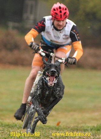 Tri studne podzim 08 - 020.jpg